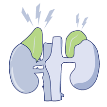 trauma-adrenal