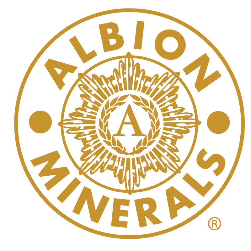 Albion Logo