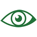 Vision
