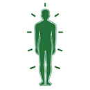 Immune Function