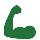 Muscle