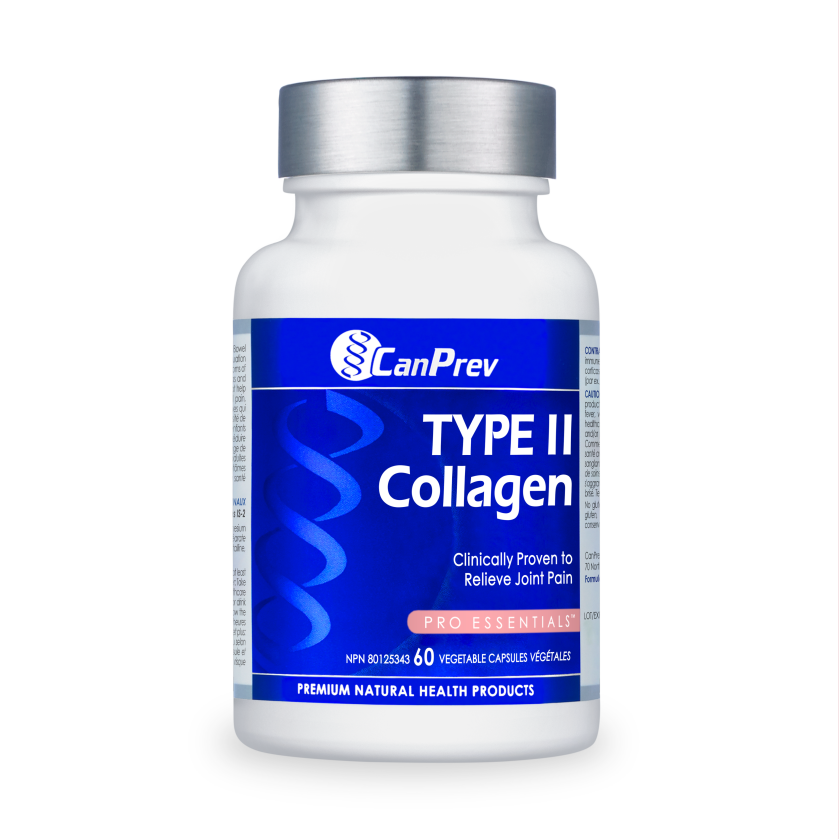 Type II Collagen