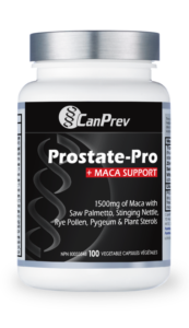 Prostate-Pro-2