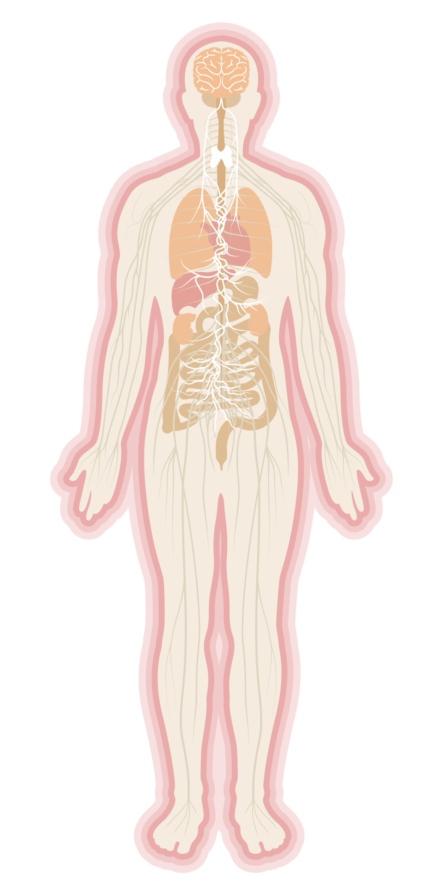 cellular health protection