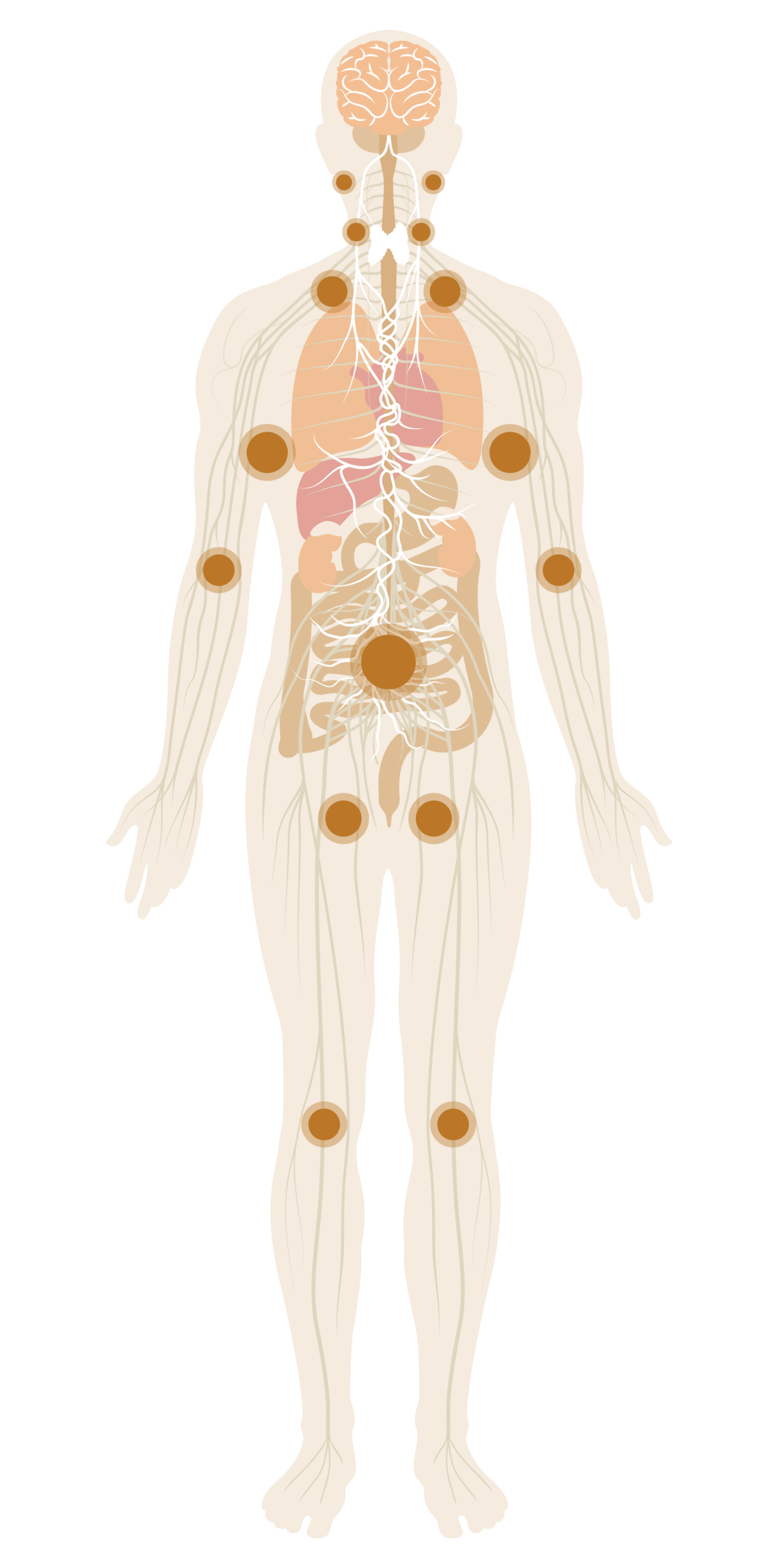 immune support