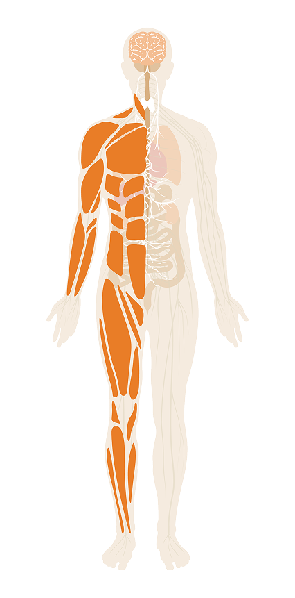 energy-and-exercise-enhancement
