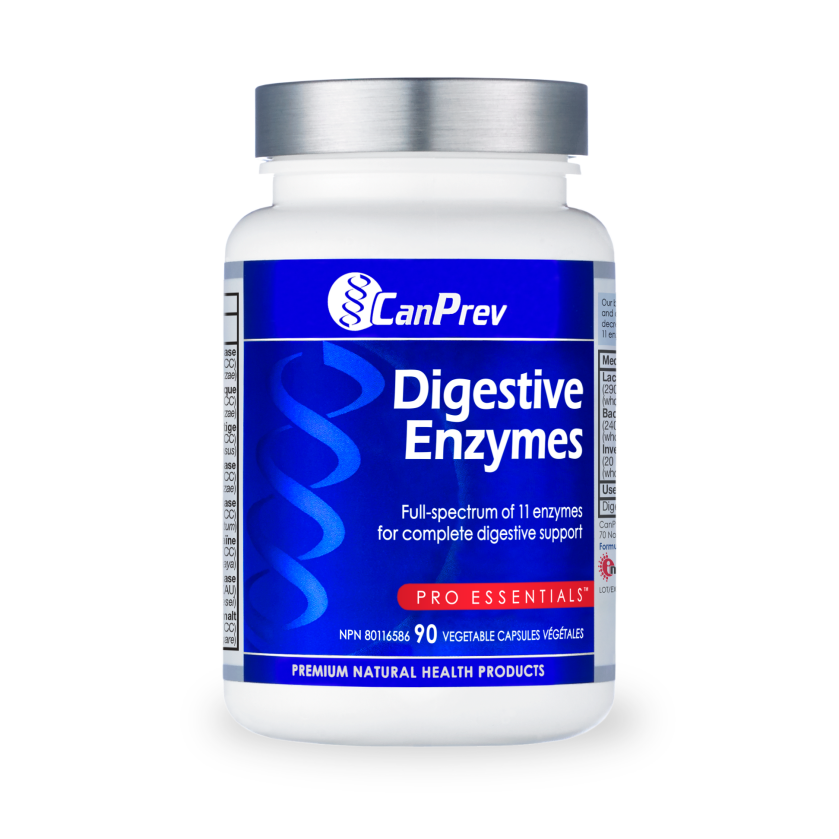 Digestive Enzymes