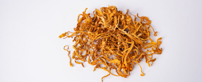 Dried cordyceps mushrooms