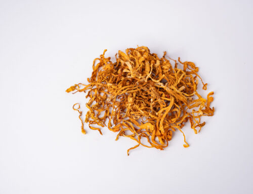 The cordyceps mushroom: Energy, immunity & more