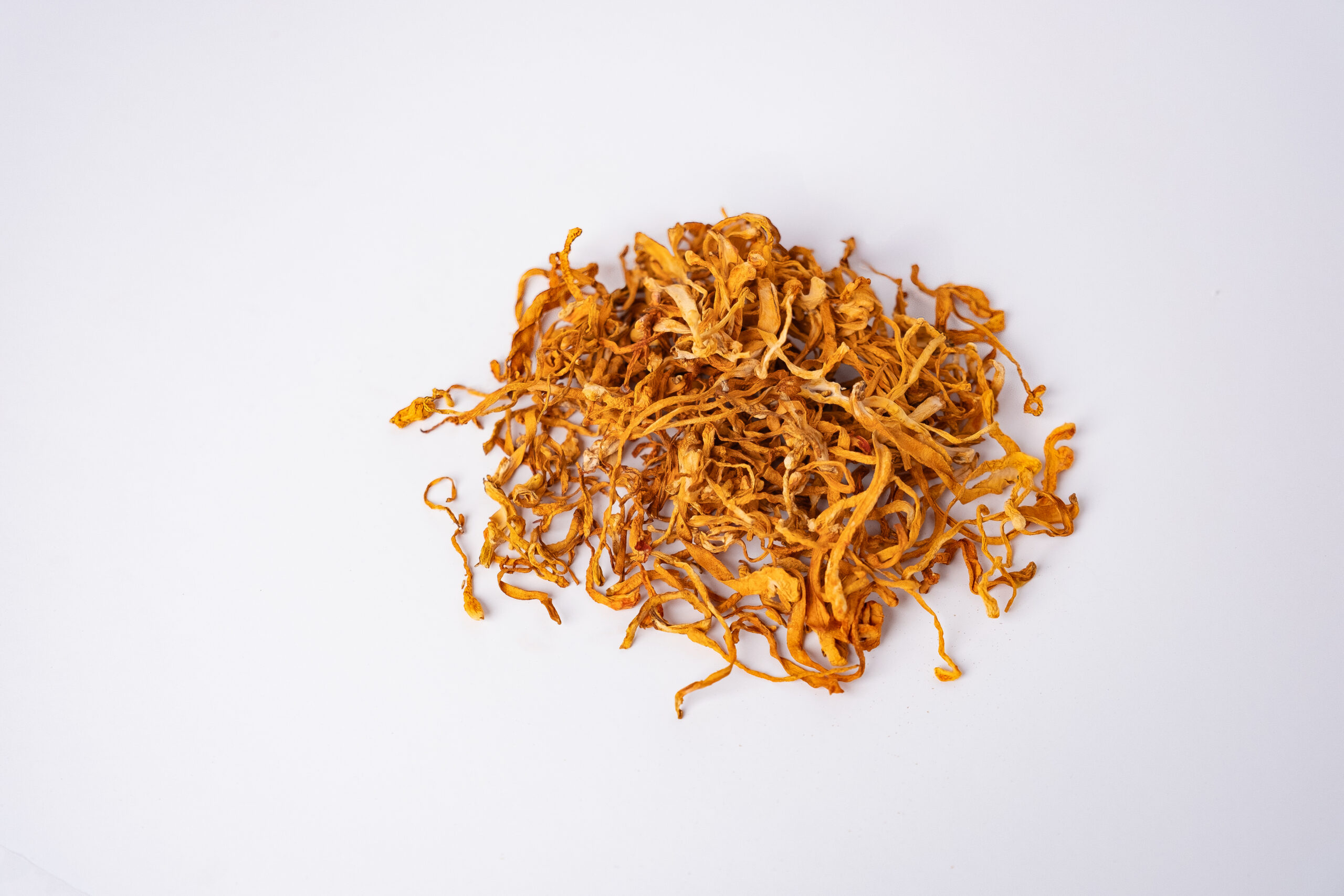 Dried cordyceps mushrooms