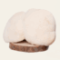 Lion's mane mushroom