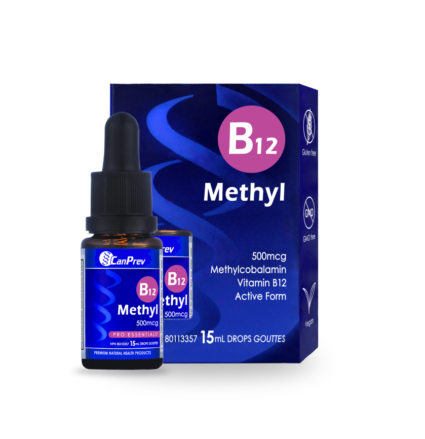 B12 Methyl 500mcg Drops - Blueberry