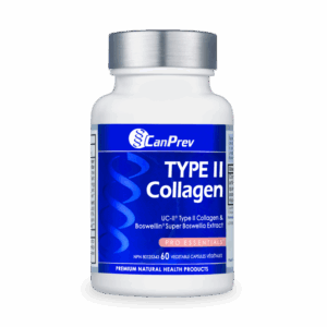 Type II Collagen