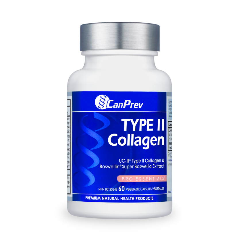 Type II Collagen