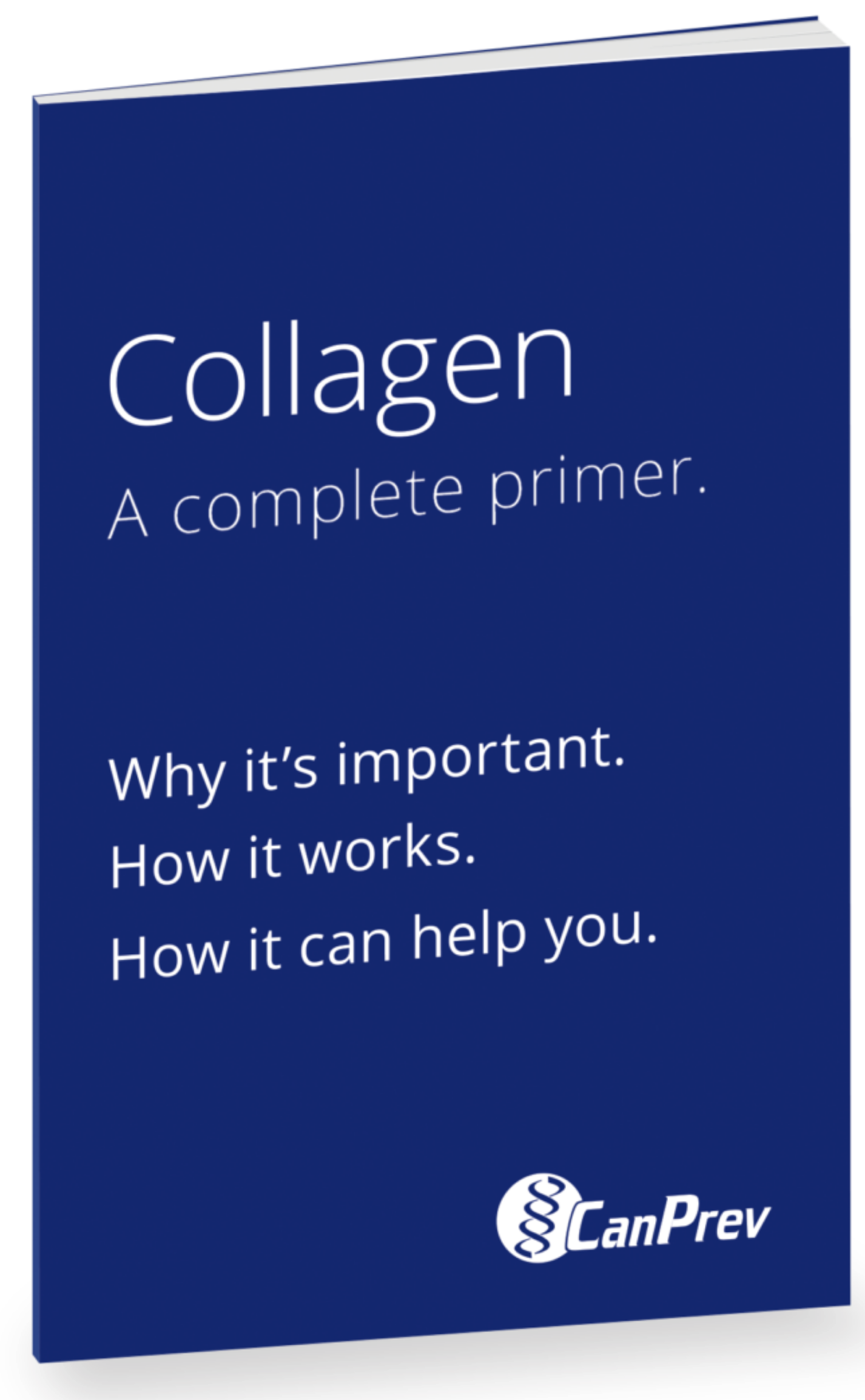 Collagen Primer