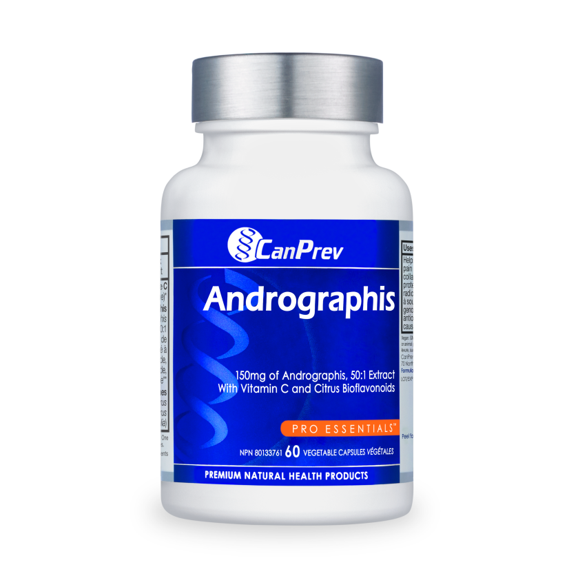 Andrographis