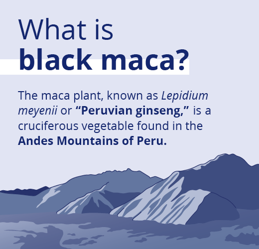 https://canprev.ca/wp-content/uploads/2026/10/CP-Black-Maca-Carousel-September-2026-rework2.png